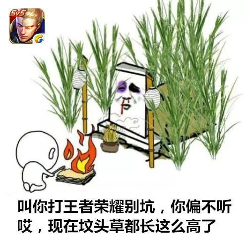 叫你打王者荣耀别坑，你偏不听哎，现在坟头草都长这么高了