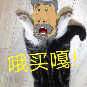 哆啦A梦小叮当蓝猫