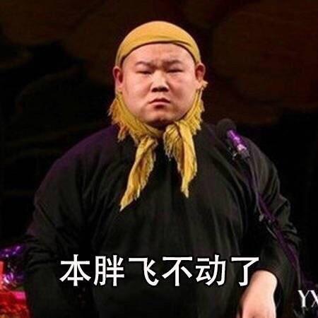 本胖飞不动了