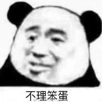 不理笨蛋