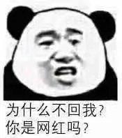 为什么不回我？你是网红吗？