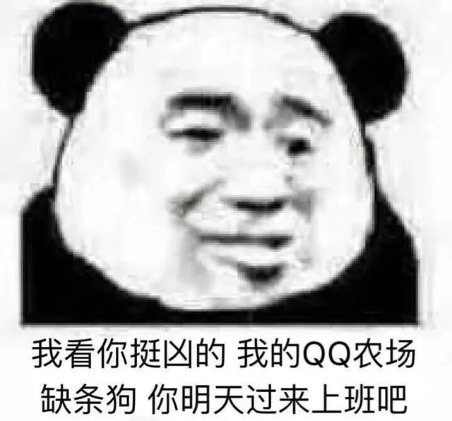 我看你挺凶的我的QQ农场缺条狗你明天过来上班吧