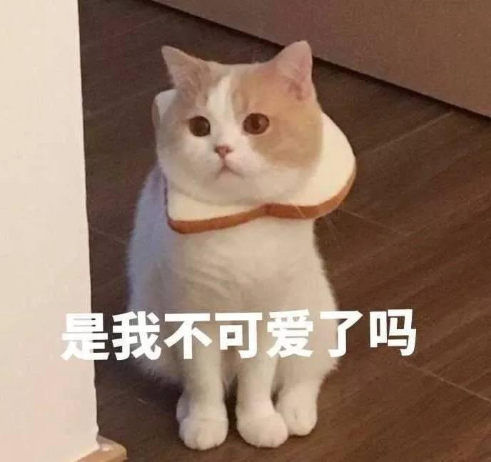 是我不可爱了吗