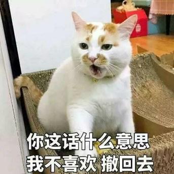 你这话什么意思我不喜欢回去