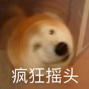 疯狂摇头