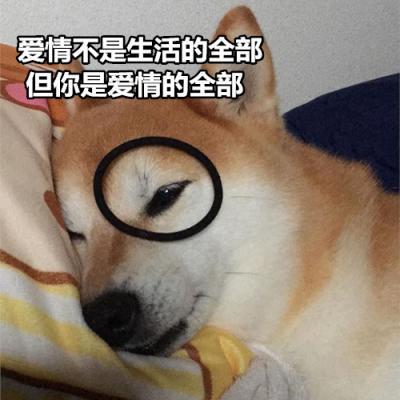 爱情不是生活的全部但你是爱情的全部