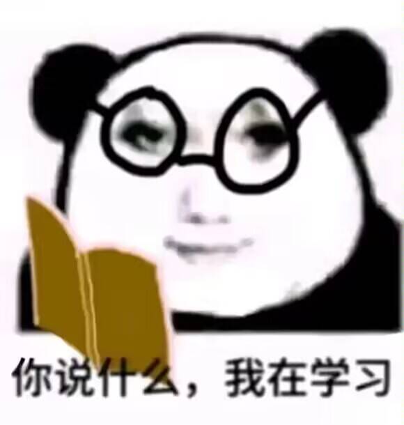 你说什么，我在学习