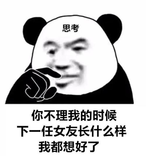 你不理我的时候